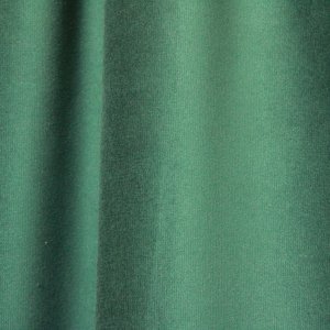 Gordijnen velvet renoir groen