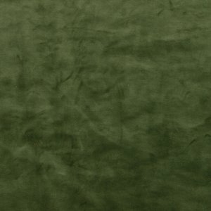 Gordijnen fluweel retro groen